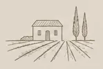 Vistas panorámicas de la fachada de Finca La Manchuela rodeada de amplios viñedos para una escapada rural perfecta.
